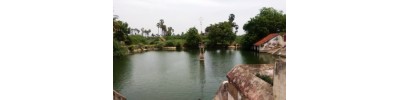 113. திருத்தெளிச்சேரி